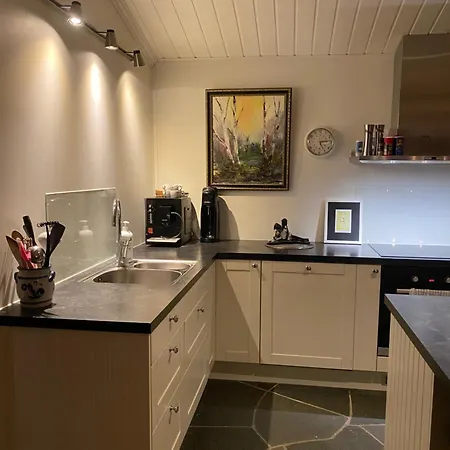 I Talvik Med Badstue Og Jacuzzi *