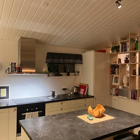 I Talvik Med Badstue Og Jacuzzi Nyaraló *